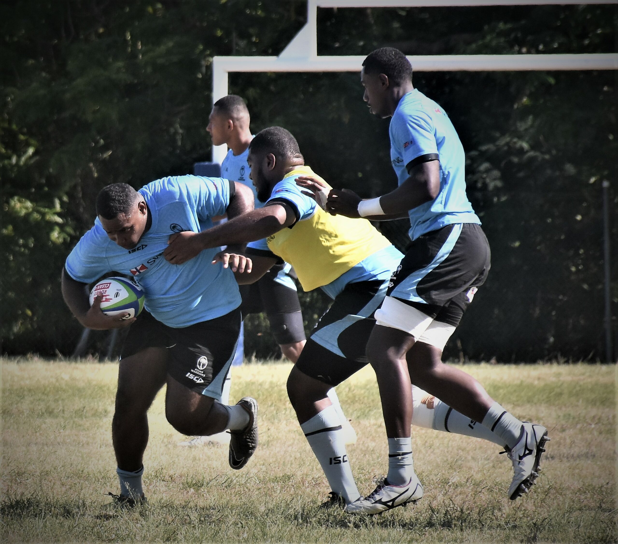 Rugby Fans